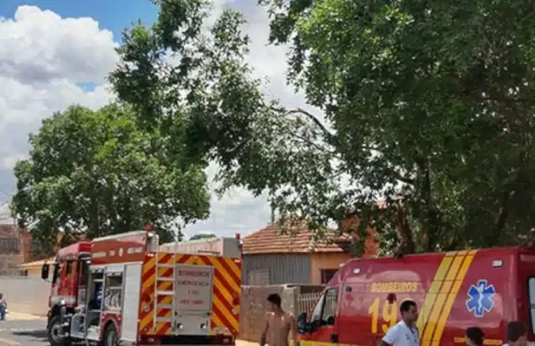 Com as perdas materiais e o sumiço da cachorra Amora, a família pede ajuda da comunidade de Paraguaçu Paulista (Foto: Lucas Gustavo)